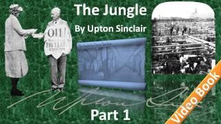 Part 1 - The Jungle Audiobook by Upton Sinclair (Chs 01-03)