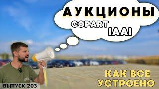 РАСКРЫЛ все КАРТЫ про Аукционы США и Канады. IAAI или Copart? #mastervadya #automobile #top #spb