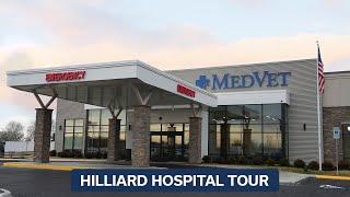 Behind the Scenes at MedVet Hilliard: Expert Emergency & Specialty Pet Care