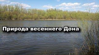 Природа весеннего Дона