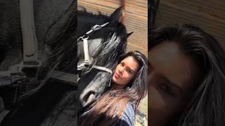 #friesian #friesianstallion #horselife #horsegirl #equestrian