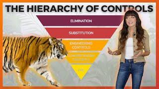 THE HIERARCHY OF CONTROLS | Ally Safety Toolbox Talk