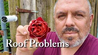 264. Roof Problem Issue - Living Alone in Wales (June 2025)