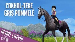 ACHAT DE L'AKHAL-TEKE GRIS | Star Stable - SSO