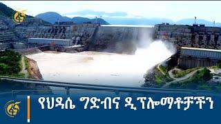 የህዳሴ ግድብና ዲፕሎማቶቻችን