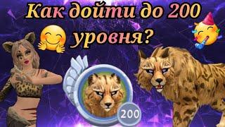 Советы по прокачке Wildcraft