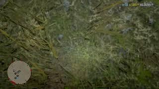 rdr2 online don't eat the common bulrush