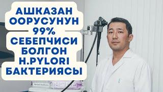 Ашказан оорусунун 99% себепчиси h.pylori бактериясына кантип туура анализ тапшыруу керек!