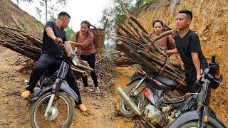 Another winter has come: Trang and her husband go looking for firewood in the cold pine forest!