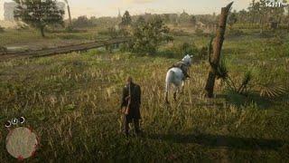 Red Dead Redemption 2_поворот не туда