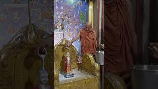 Shree Hari jayanti | Surat Gurukul | #suratgurukul #utsav #surat