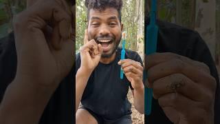 DIY Survival Skill: Toothbrush Stand from Sticks!" #camping #survival #bushcraft #outdoors #lifehack