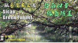 跟魯曼英文去 台南台江國家公園  四草綠色隧道 Sicao Green Tunnel