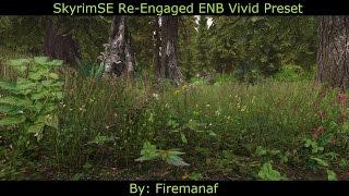 SkyrimSE Re-Engaged ENB Vivid Preset (V3.4a)