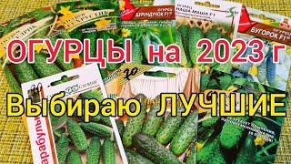 Обзор НОВЫХ гибридов ОГУРЦОВ.Сезон 2023. Где я покупаю семена.