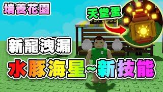 ️天堂蛋？夏日新寵洩漏！寵物技能預告！海星.章魚.螃蟹.海鷗.海龜.海豹.孔雀.火鶴.猩猩.大嘴鳥.鸚鵡.鴕鳥！ 培養花園 | Roblox Grow A Garden