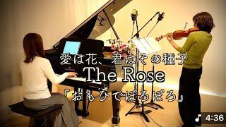 【ローズRose 〜愛は花、君はその種子】スタジオジブリ1991年『おもひでぽろぽろ』 piano&violin(Photo by jyosui)@ヴァイオリンとピアノで歌う童謡