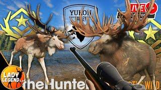 769 Kills into the YUKON Great One Moose Grind!!! - LIVE!!!