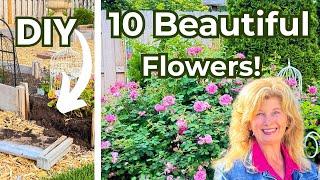 Transform Your Backyard Garden with these Beautiful Flowers! + A DIY Garden Project!