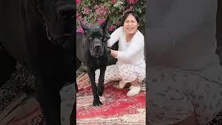 This dog is creating the new generation 762