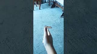 #piero