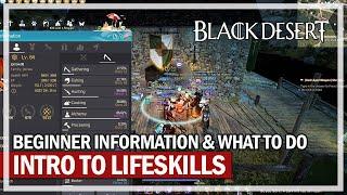 Intro to Lifeskills & Beginner Information | Black Desert