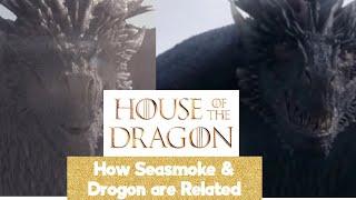 House of the Dragon - How Seasmoke and Drogon are Related