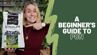 A beginner's guide to PON 🪨🪴| What is it, how to use it, PON vs. LECA