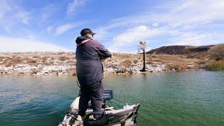 Fishing is about to get crazy in Socal