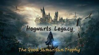 Hogwarts Legacy: The Good Samaritan Trophy