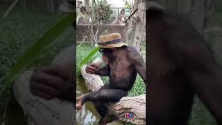 hit song Dk ft kidochu mc mpya
