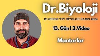 Mantarlar| 23 Günde TYT Biyoloji Kampı yks2024 | 9. Sınıf