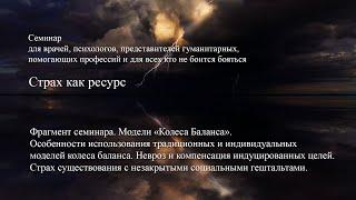 Традиционные и индивидуальные модели «колеса баланса». Невроз и компенсация индуцированных целей