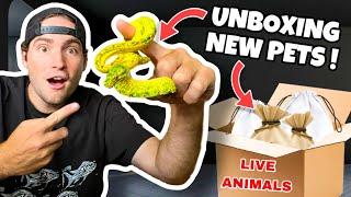 UNBOXING NEW EXOTIC PETS ! WHAT DID WE GET ?!