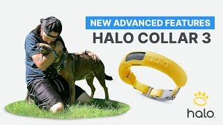 COOL AND EXCITING FEATURES OF THE HALO COLLAR VIRTUAL DOG GPS FENCE | HALO COLLAR 3 REVIEW