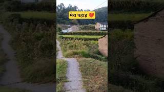 Core Uttarakhandi Lifestyle I  Narendra Singh Negi Ji Best Emotional Garhwali Song #guggulu #shorts