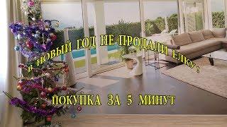 2 серия. НЕ ПРОДАЛИ ЕЛКУ! ПОКУПКА ЗА 5 МИНУТ. ЕЛОЧНЫЕ РЫНКИ. НОВОСИБИРСК.Видео 4к