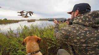 Public Land Walk in Duck Hunt and Someone sat up right in front of us..