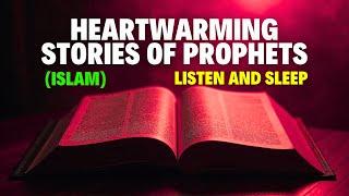 6 Inspiring Quranic Stories of Prophets with Soothing Rain Sounds | Perfect for Relaxation & Sleep