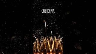 BON ANNIVERSAIRE CHEIKHNA !