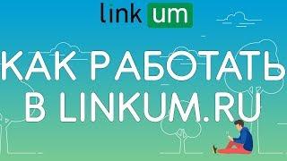 Как заработать на размещении крауд-ссылок?