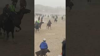 Диёр “ХАММЕР” #tajikistan #horse #uzbekistan #rek #buzkashi #kupkari #uloq #horseriding #horselover