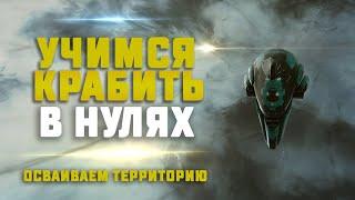 EVE Online. УЧИМСЯ КРАБИТЬ В НУЛЯХ. Какой заработок?