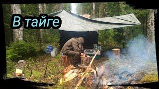 4 МЕСЯЦА В ТАЙГЕ.  БОЛЬШОЙ ФИЛЬМ. (1/2)