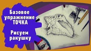 Базовое упражнение Точка,  рисуем Ракушку аэрографом