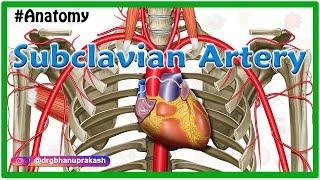 Subclavian artery Anatomy : Origin, Course, Parts, Branches, Relations and Clinical anatomy