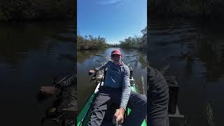 Newport trolling motor test drive #fishing #flyfishingtactics #flyfishing