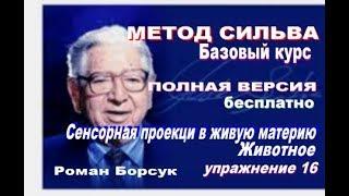 Бесплатный видеоурок 16. Метод Сильва базовый курс Сенсорная проекция в живую материю. Роман Борсук
