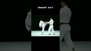 Jodan Mawashi Geri  Masao Kagawa • (7-th Dan JKF (Japan Karate Federation)#karate #martialarts