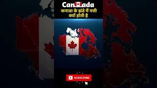 Why canadian flag has maple leaf #shorts #canada #factsinhindi #viralshorts #facts #fyp